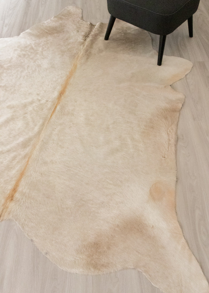 (Rare) Cream Off White Cowhide Rug (Size: 230 X 210 CM) CHR1915