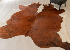 Medium White Spine Belly Brindle Cowhide Rug (Size: 240 X 230 CM) CHR1929