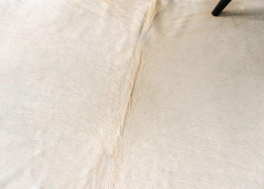 (Rare) Cream Off White Cowhide Rug (Size: 240 X 200 CM) CHR1822